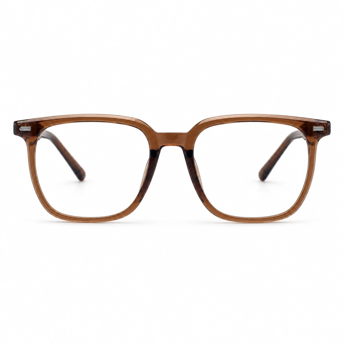 Ascoli square brown eyeglasses