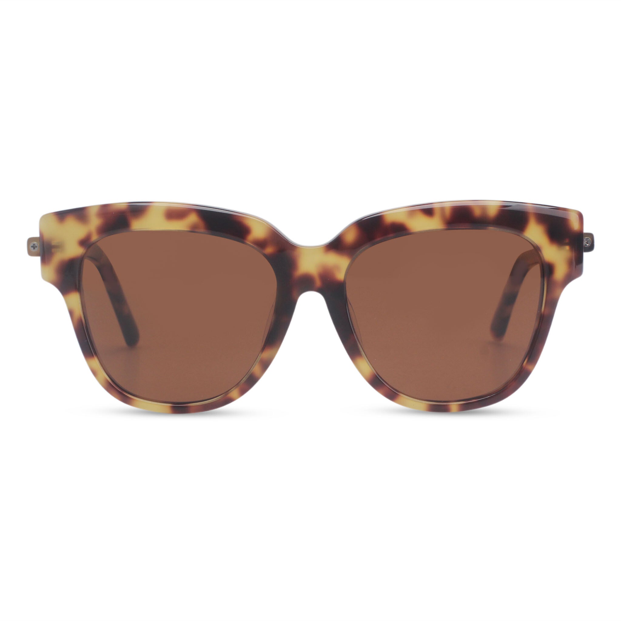 Cat-eye bold tortoise sunglasses tortoise