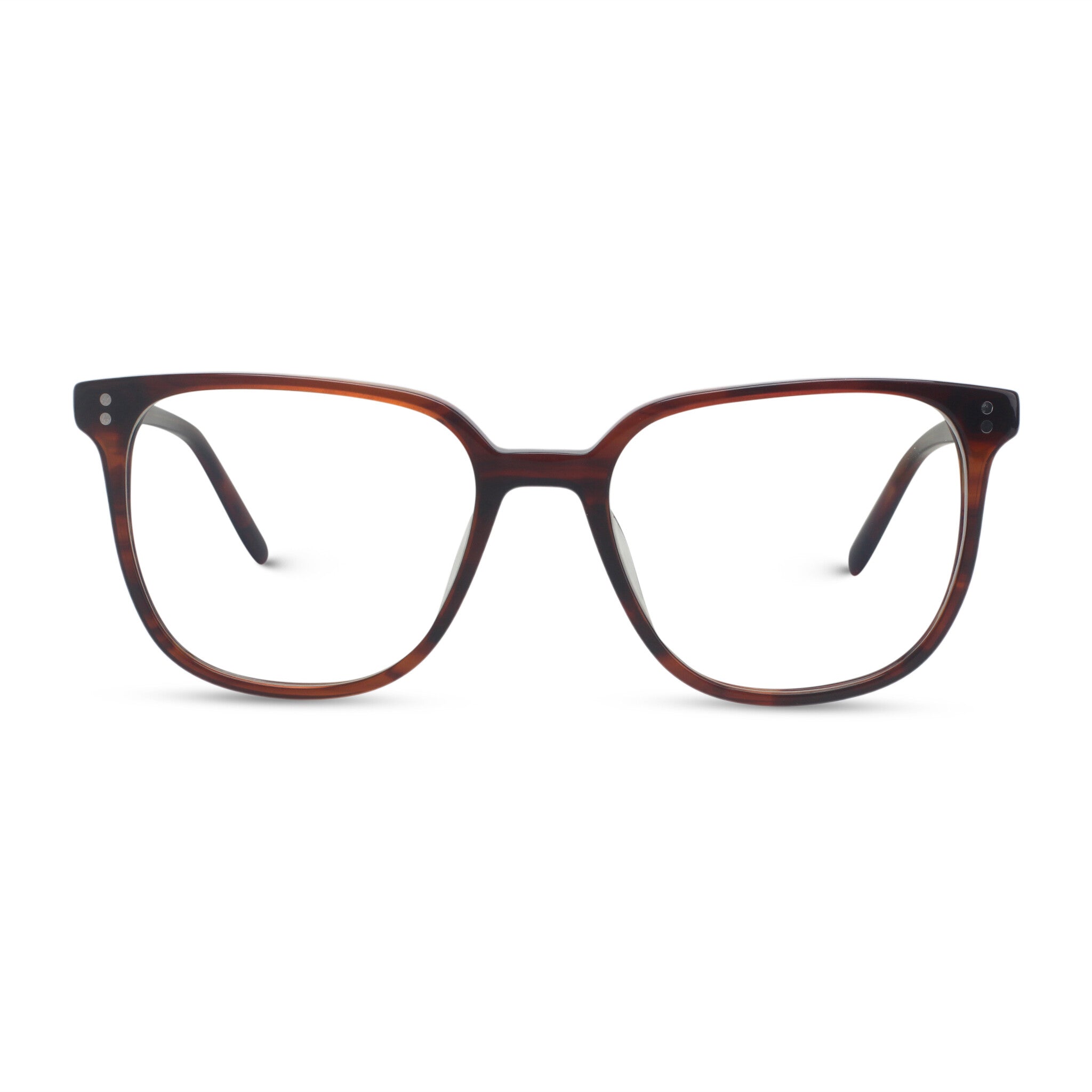 red tortoise plastic eyeglasses