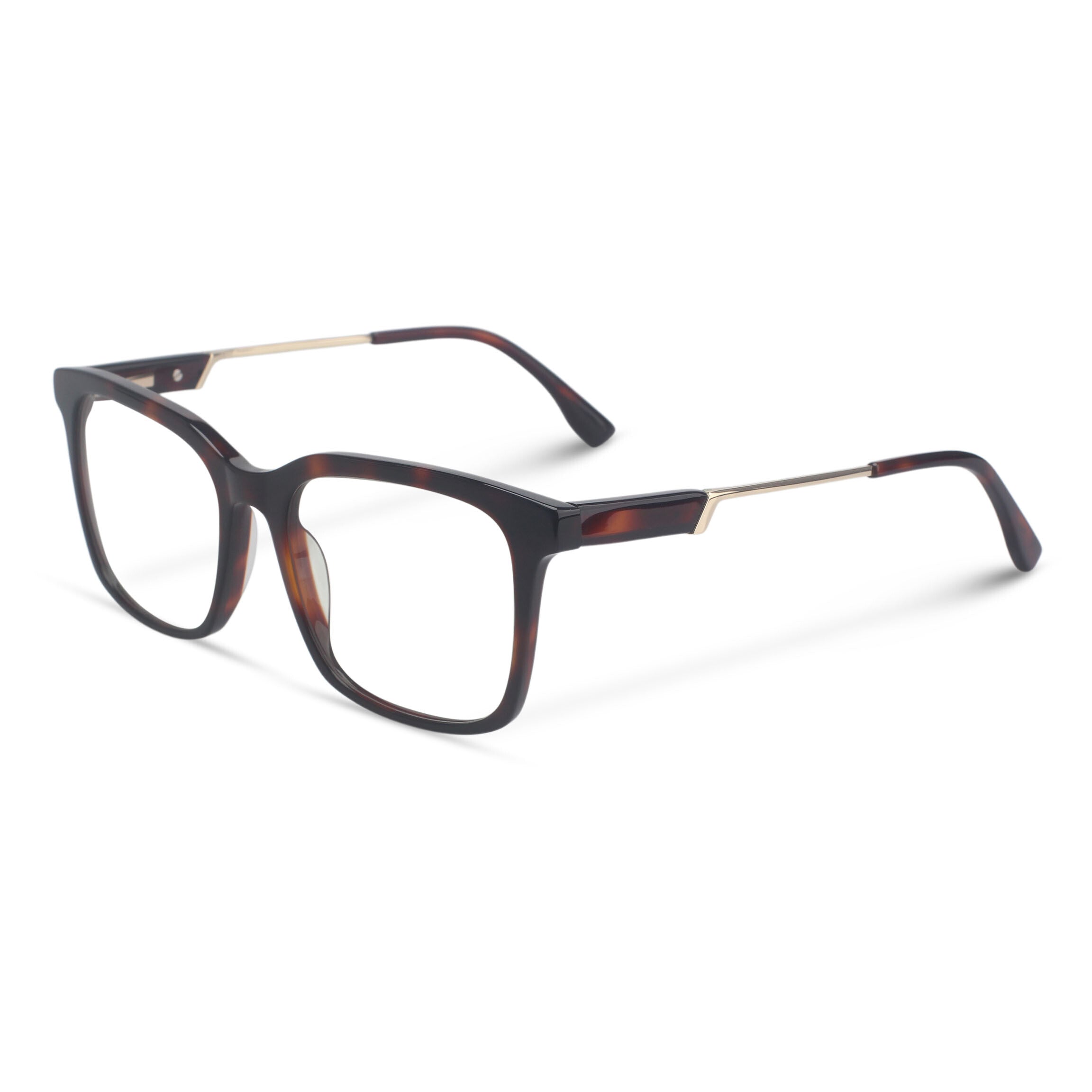 Classic square tortoise eyeglasses